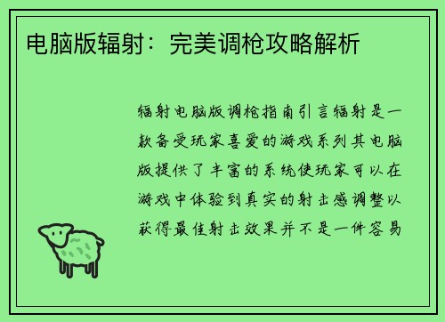 电脑版辐射：完美调枪攻略解析